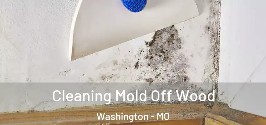  Cleaning Mold Off Wood Washington - MO
