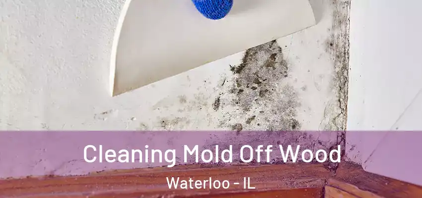  Cleaning Mold Off Wood Waterloo - IL