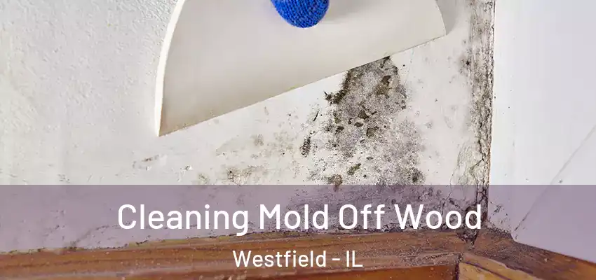  Cleaning Mold Off Wood Westfield - IL