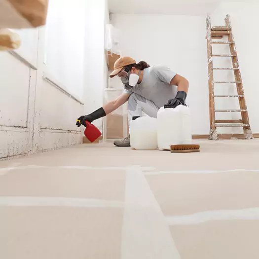 Reliable Mold Stain Remover Specialists in Maryville, IL