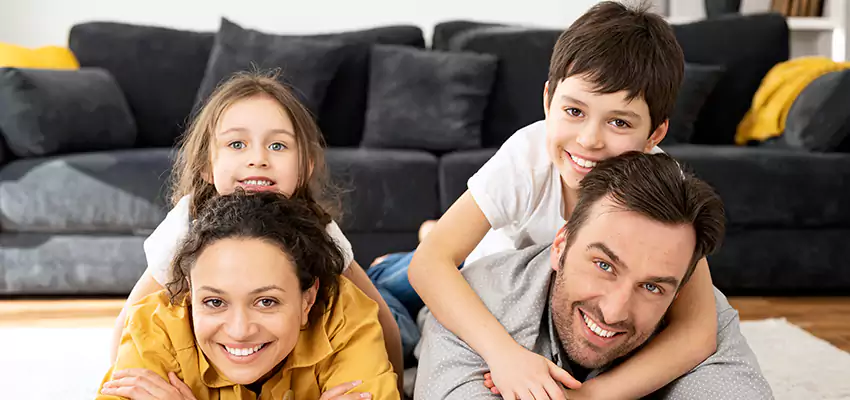 Mold Stain Remover for Wood in Maryville, IL