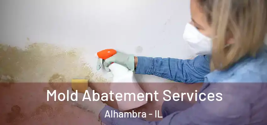  Mold Abatement Services Alhambra - IL