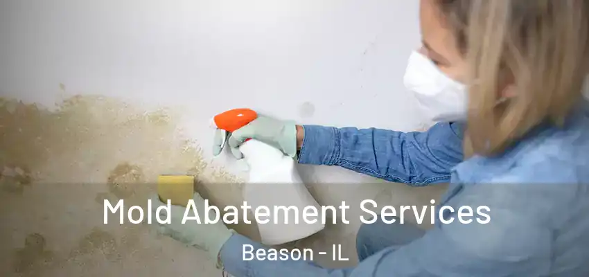  Mold Abatement Services Beason - IL