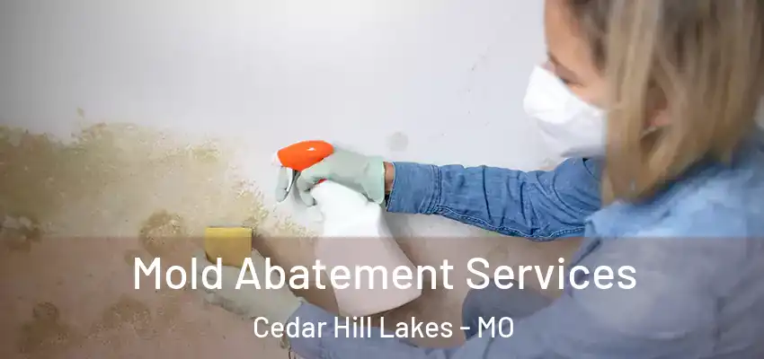  Mold Abatement Services Cedar Hill Lakes - MO