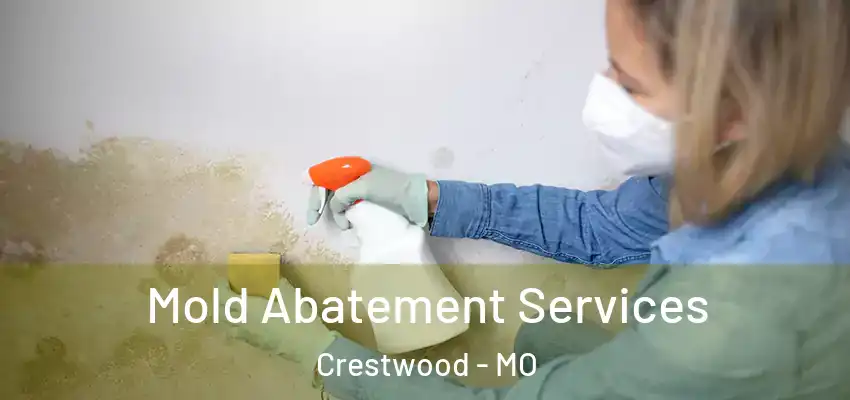  Mold Abatement Services Crestwood - MO