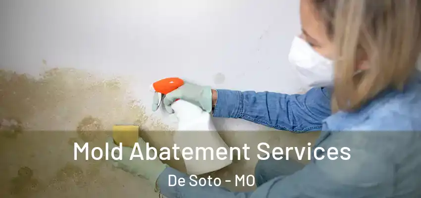  Mold Abatement Services De Soto - MO