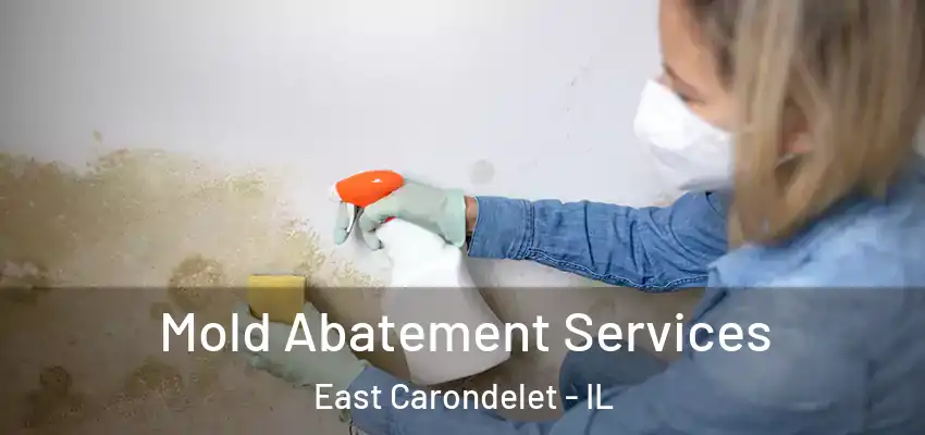  Mold Abatement Services East Carondelet - IL