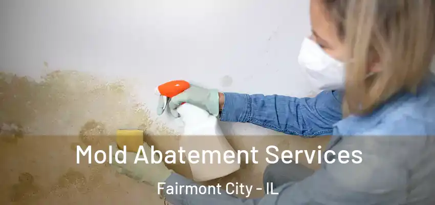  Mold Abatement Services Fairmont City - IL
