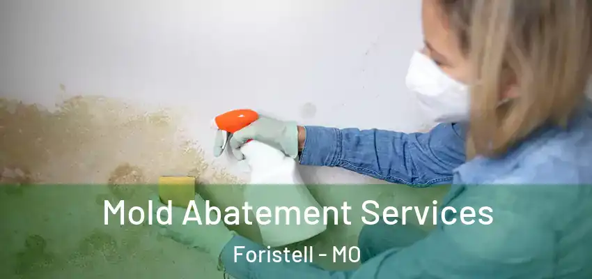  Mold Abatement Services Foristell - MO
