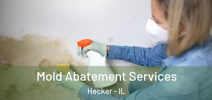 Mold Abatement Services Hecker - IL