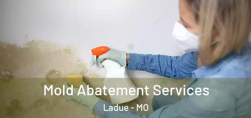Mold Abatement Services Ladue - MO