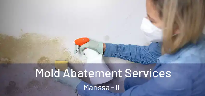  Mold Abatement Services Marissa - IL