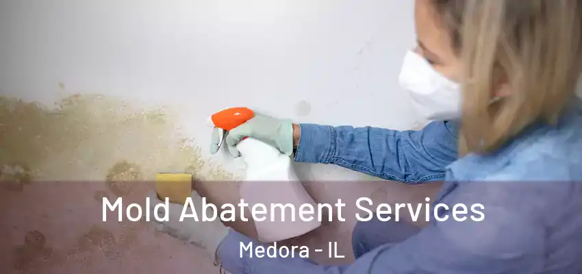  Mold Abatement Services Medora - IL