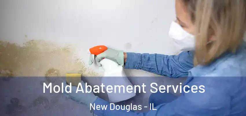  Mold Abatement Services New Douglas - IL