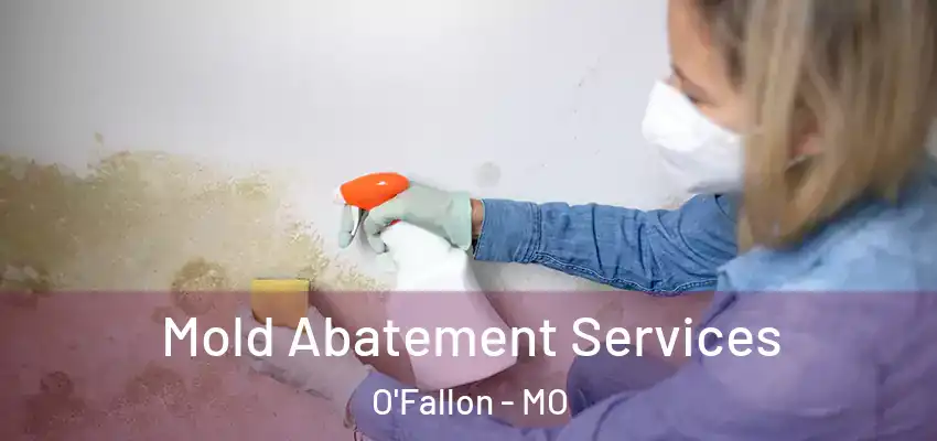 Mold Abatement Services O'Fallon - MO