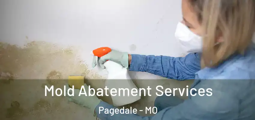 Mold Abatement Services Pagedale - MO