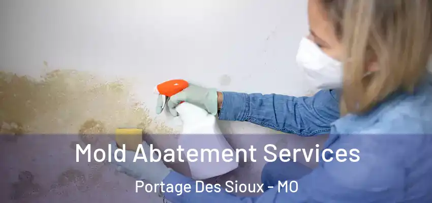  Mold Abatement Services Portage Des Sioux - MO