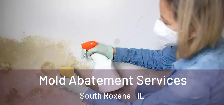  Mold Abatement Services South Roxana - IL
