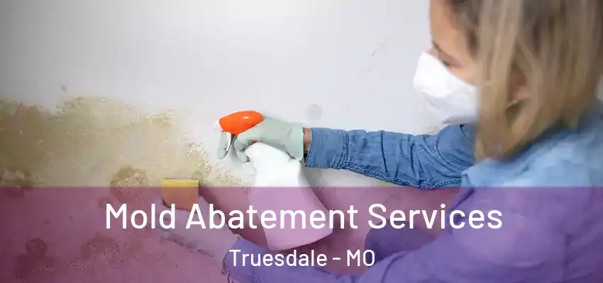  Mold Abatement Services Truesdale - MO