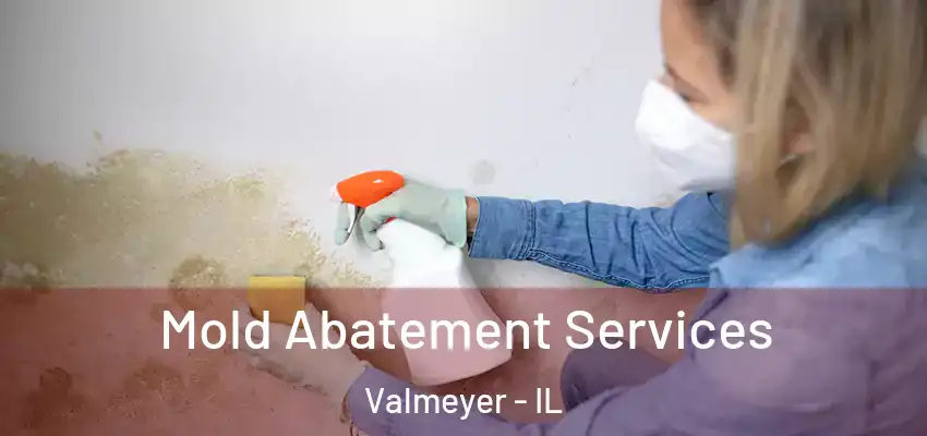  Mold Abatement Services Valmeyer - IL
