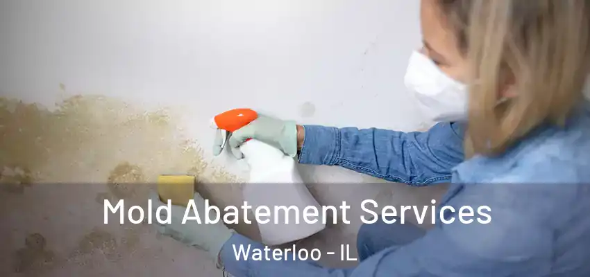 Mold Abatement Services Waterloo - IL