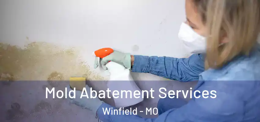 Mold Abatement Services Winfield - MO