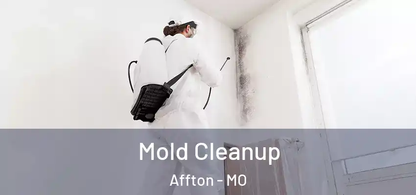  Mold Cleanup Affton - MO