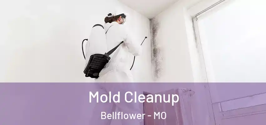  Mold Cleanup Bellflower - MO
