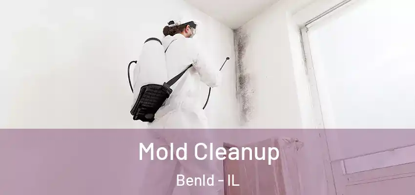  Mold Cleanup Benld - IL