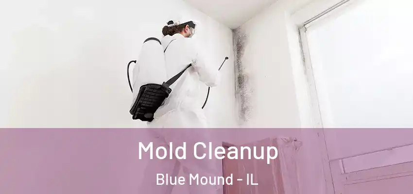  Mold Cleanup Blue Mound - IL