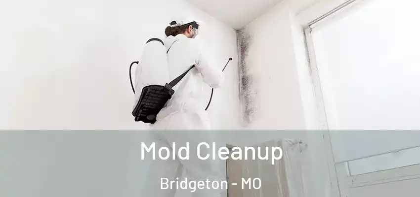  Mold Cleanup Bridgeton - MO