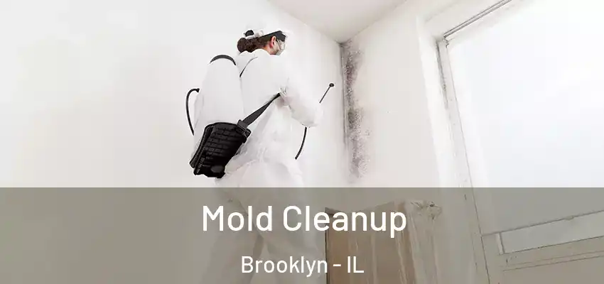  Mold Cleanup Brooklyn - IL