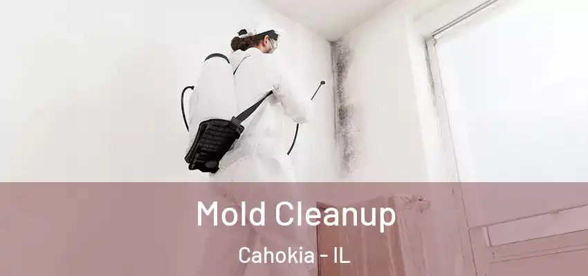  Mold Cleanup Cahokia - IL