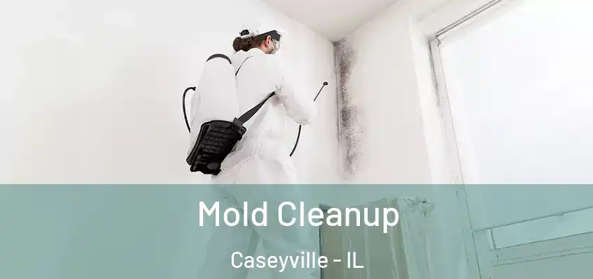  Mold Cleanup Caseyville - IL