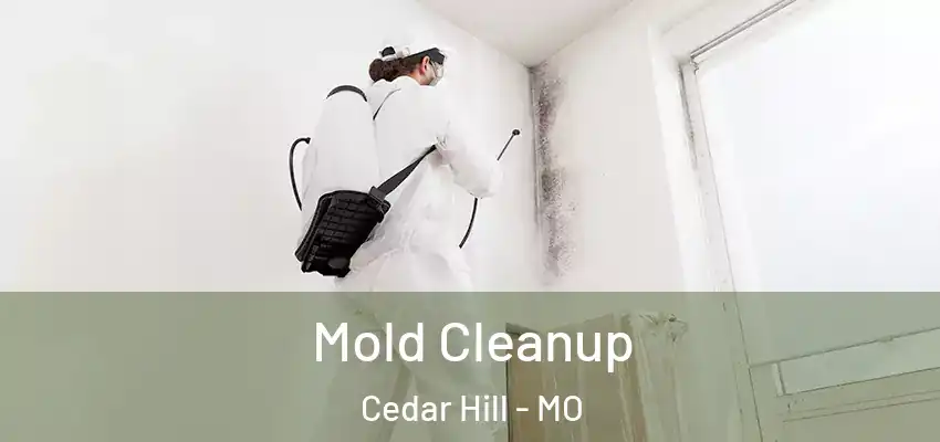  Mold Cleanup Cedar Hill - MO