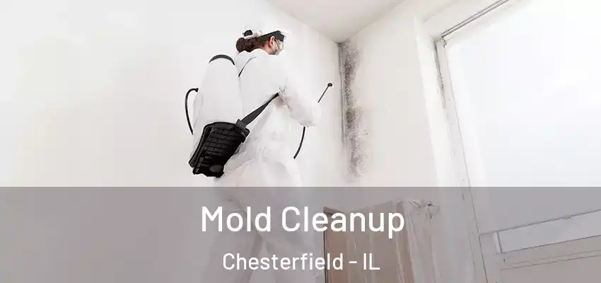  Mold Cleanup Chesterfield - IL