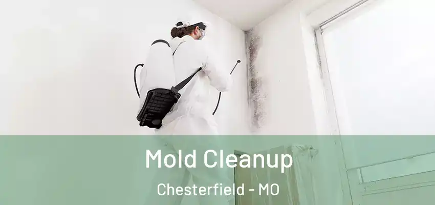  Mold Cleanup Chesterfield - MO
