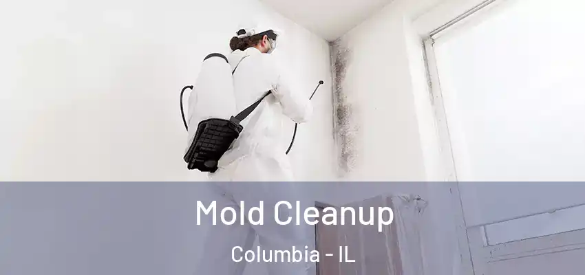  Mold Cleanup Columbia - IL