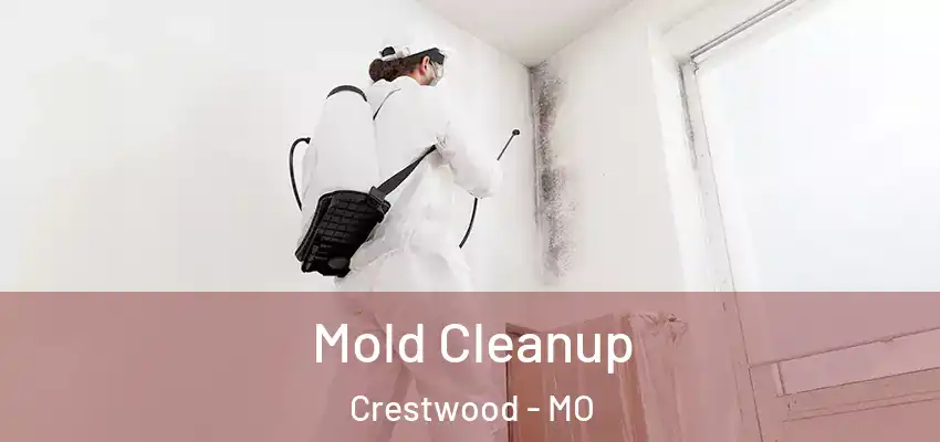 Mold Cleanup Crestwood - MO