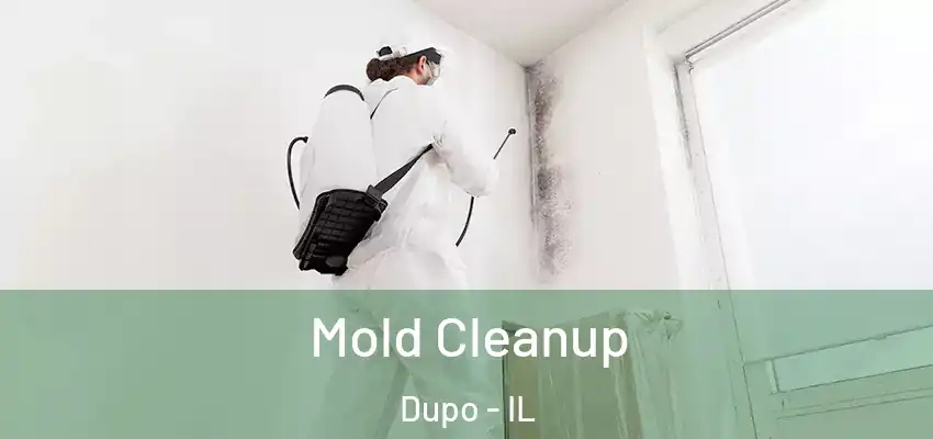 Mold Cleanup Dupo - IL