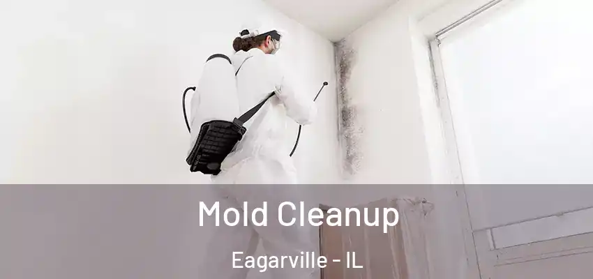  Mold Cleanup Eagarville - IL