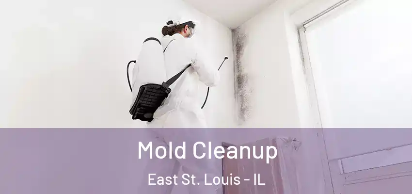  Mold Cleanup East St. Louis - IL
