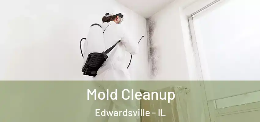  Mold Cleanup Edwardsville - IL