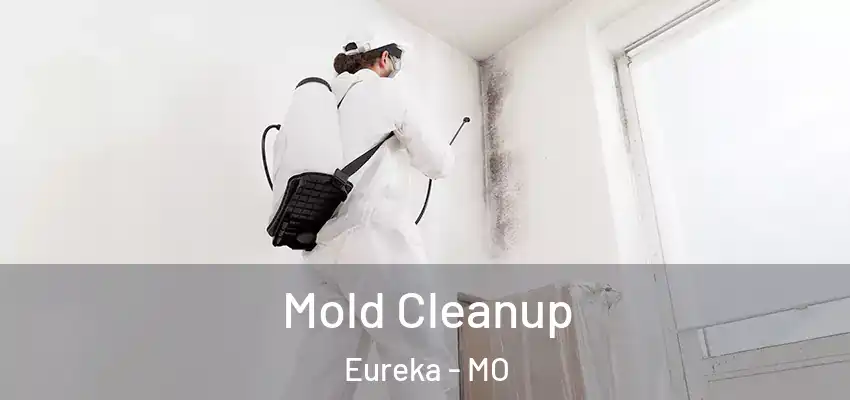 Mold Cleanup Eureka - MO