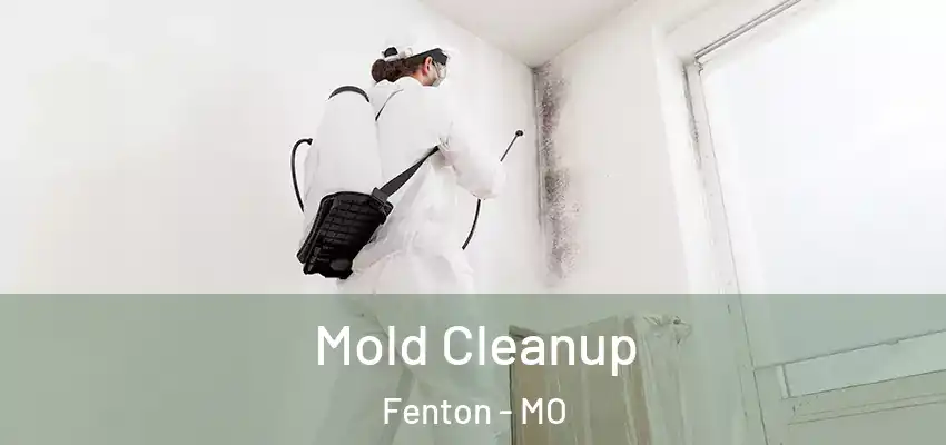 Mold Cleanup Fenton - MO