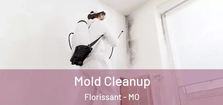  Mold Cleanup Florissant - MO