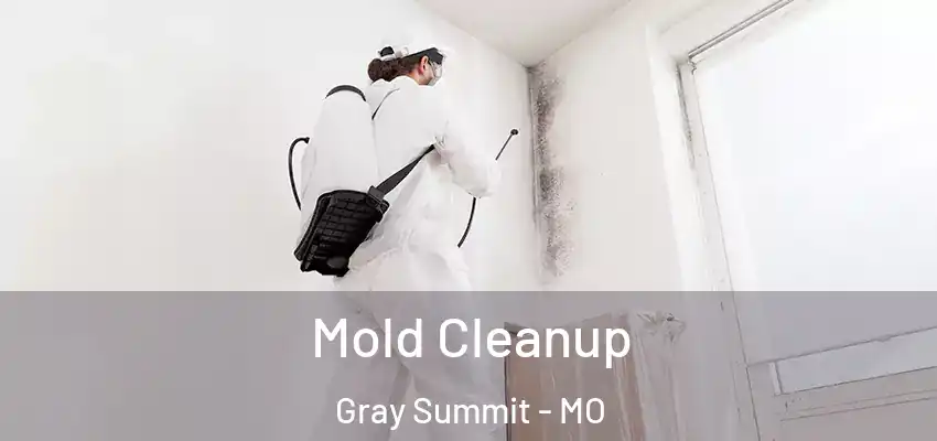 Mold Cleanup Gray Summit - MO