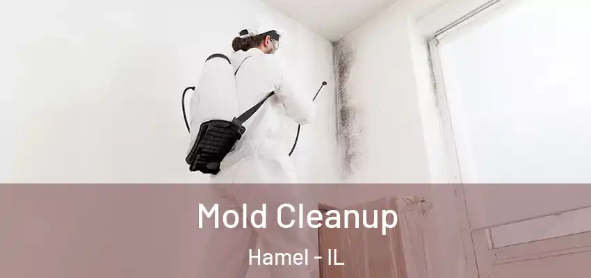  Mold Cleanup Hamel - IL