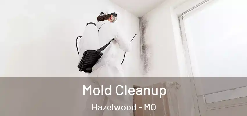 Mold Cleanup Hazelwood - MO