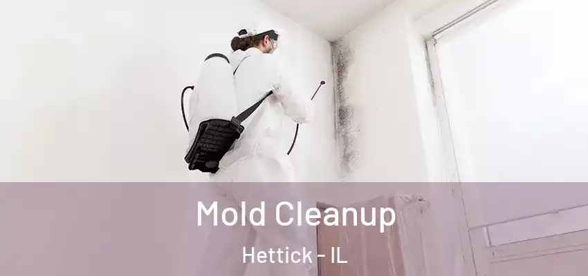  Mold Cleanup Hettick - IL